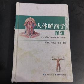 人体解剖学图谱