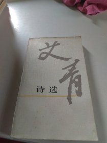 艾青诗选