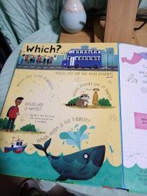 lift the flap questions and answers about our world（绘画本）