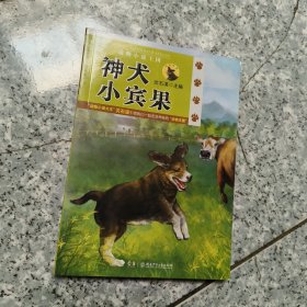 神犬小宾果 正版内页全新