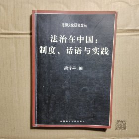 法治在中国：制度、话语与实践