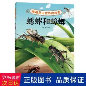 破解昆虫世界的秘密——蟋蟀和蟑螂