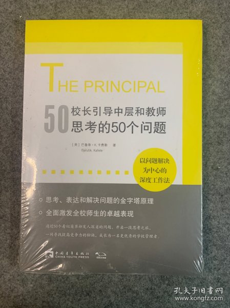 校长引导中层和教师思考的50个问题：以问题解决为中心的深度工作法，有效使用每一点精力