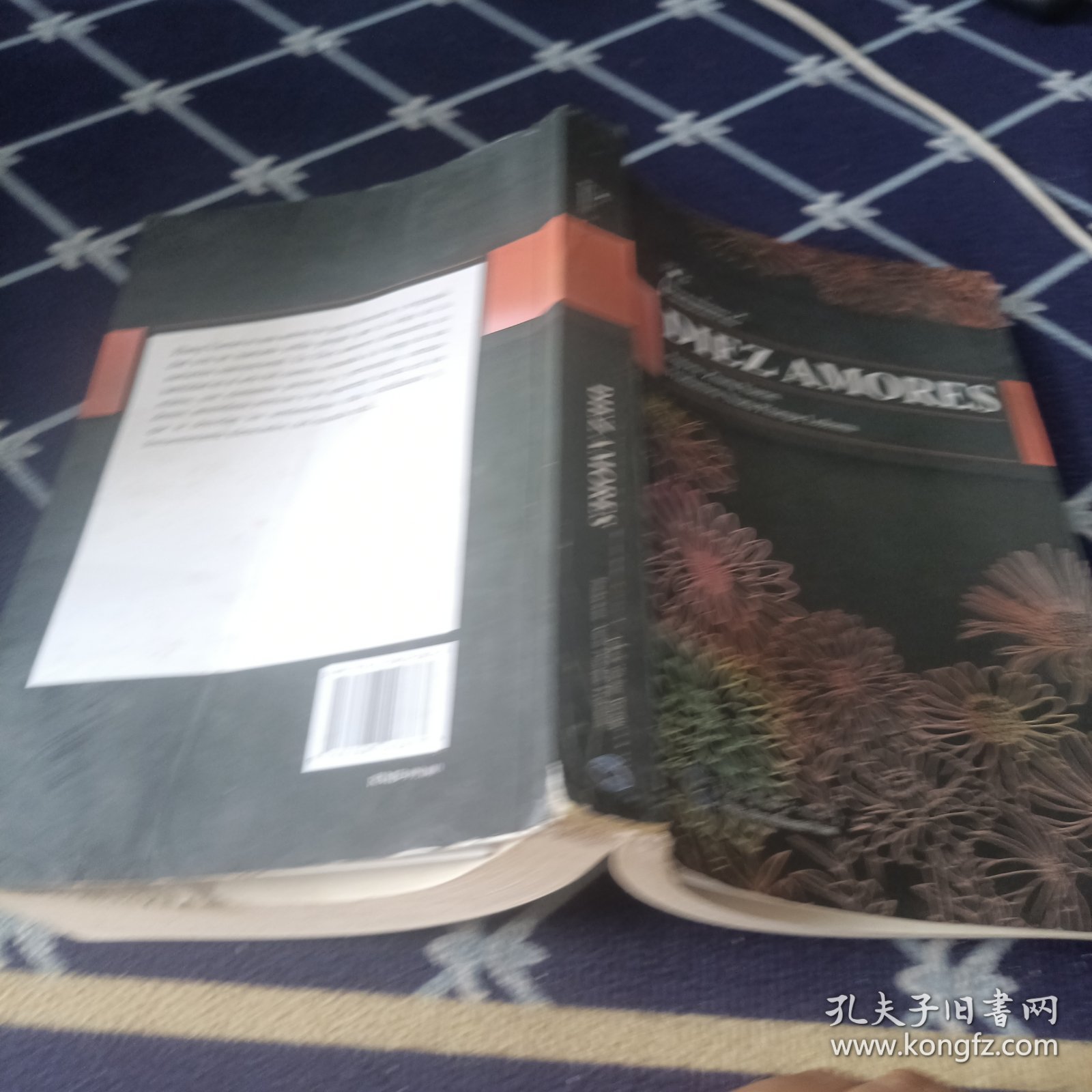 中国当代文学精选--十爱（西文）