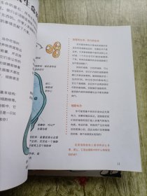 万物皆元素（全彩四册）