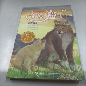 奇境猫王系列：唤醒猫魂