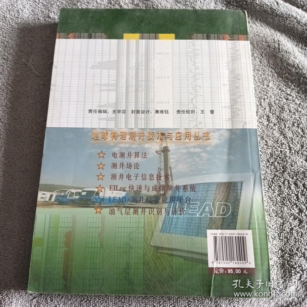 地球物理测井技术与应用丛书：LEAD测井综合应用平台