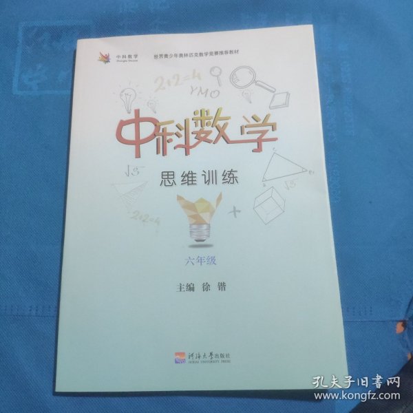 中科数学思维训练 六年级