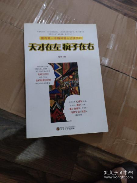 天才在左 疯子在右：国内第一本精神病人访谈手记