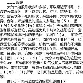 大气颗粒物污染在线源解析技术——基于单颗粒质谱