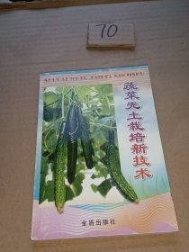 蔬菜无土栽培新技术