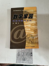 数字家园:网络传播与文化