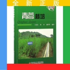 青蒿栽培