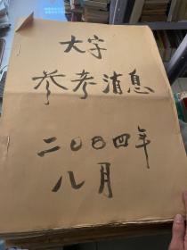参政消息2004年1.2.3.4.5.6.7.8（八个月合售）
