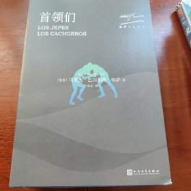 略萨作品系列：首领们