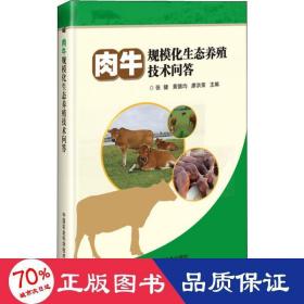 肉牛规模化生态养殖技术问答