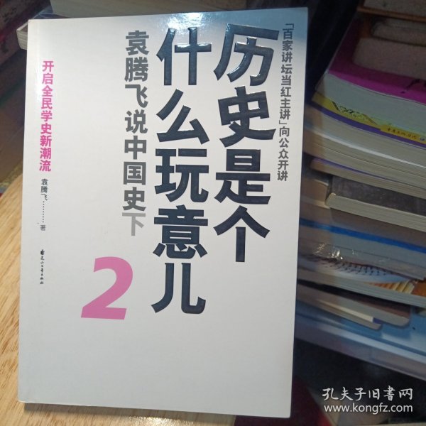 历史是个什么玩意儿2：袁腾飞说中国史下