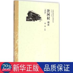 中国民族经济村庄调查丛书·岔河村调查：彝族