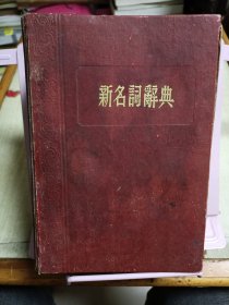 新名词辞典