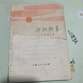 向阳列车(小说、散文集)