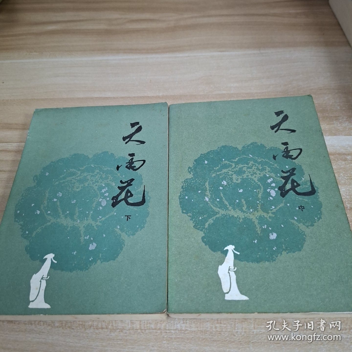 天雨花 中下两册合售