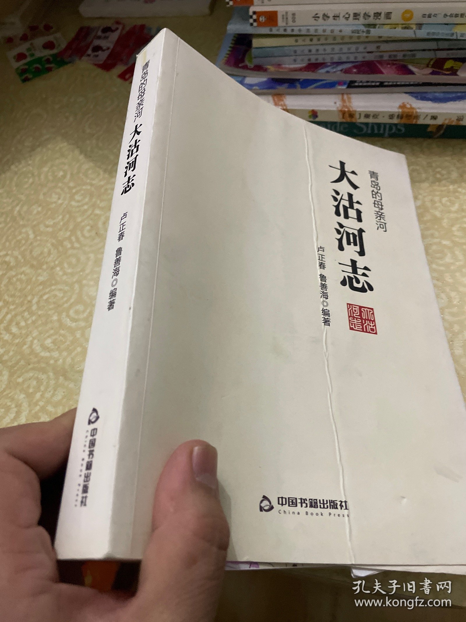 大沽河志