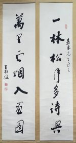 王轶猛