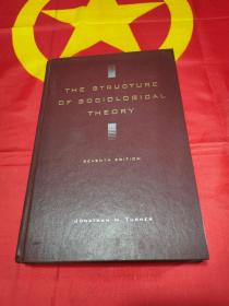 The Structure of Sociological Theory