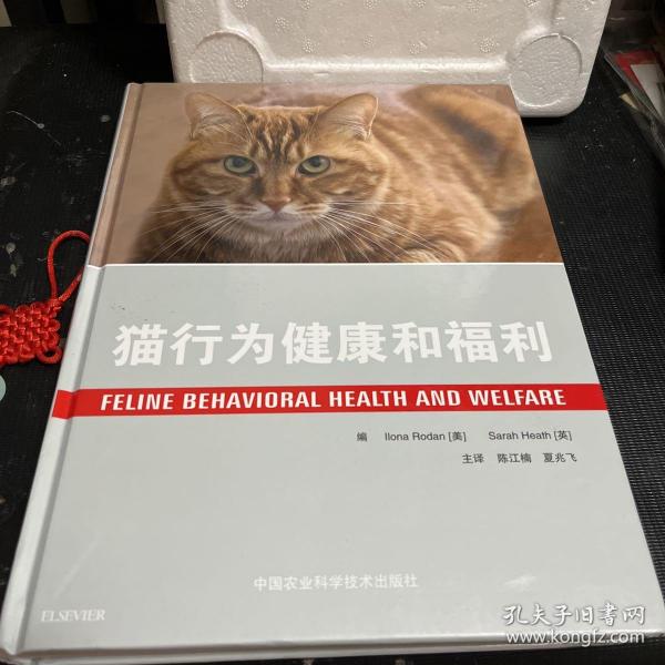 猫行为健康和福利