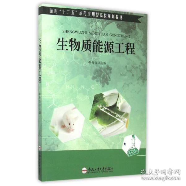 生物质能源工程(面向十二五示范应用型高校规划教材)