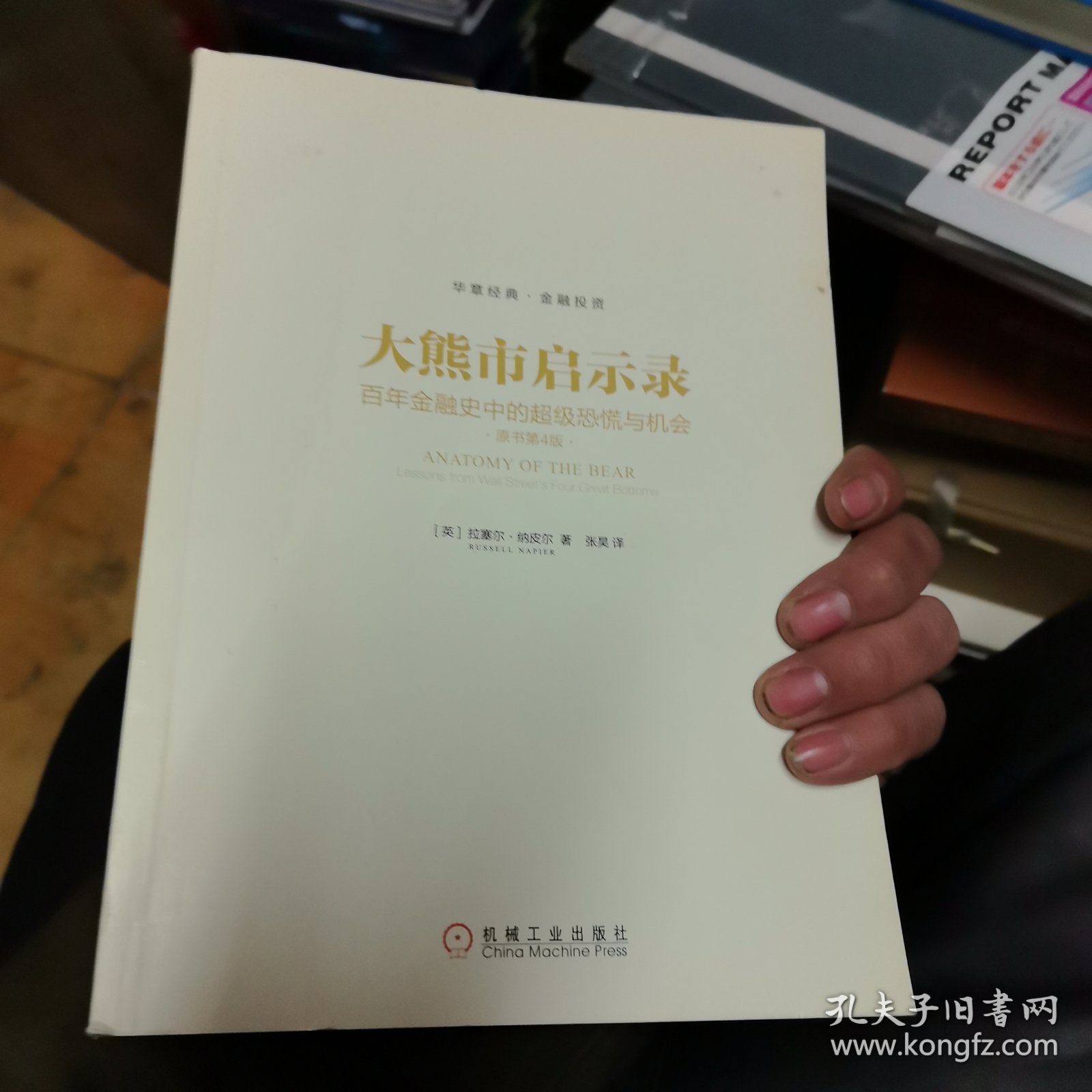 大熊市启示录：百年金融史中的超级恐慌与机会（原书第4版）