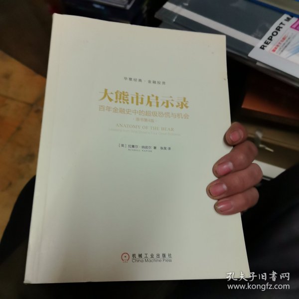 大熊市启示录：百年金融史中的超级恐慌与机会（原书第4版）