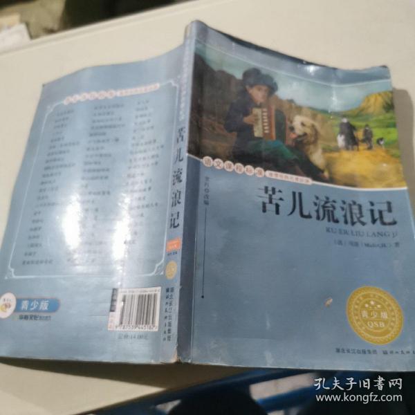 语文课程标准推荐经典名著必读：苦儿流浪记（青少版）