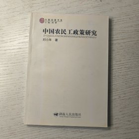 中国农民工政策研究