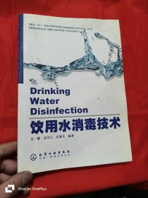 饮用水消毒技术 （16开）