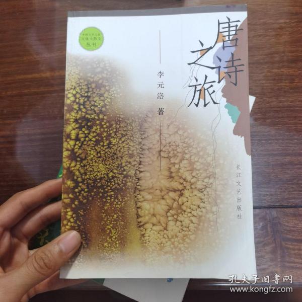 唐诗之旅——中国文学之旅文化大散文丛书