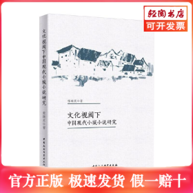 文化视阈下中国现代小城小说研究