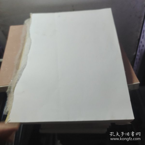 胎儿磁共振成像诊断图谱（没有书皮）