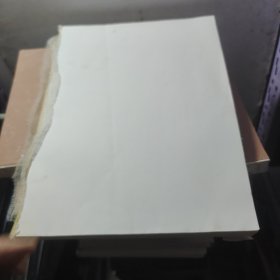 胎儿磁共振成像诊断图谱（没有书皮）