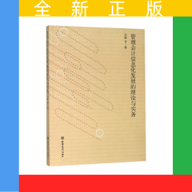 管理會(huì)計(jì)信息化發(fā)展的理論與實(shí)務(wù)