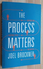 英文书The Process Matters: Engaging and Equipping People for Success 过程很重要：让员工参与并为其提供成功的装备 by Joel Brockner (Author)