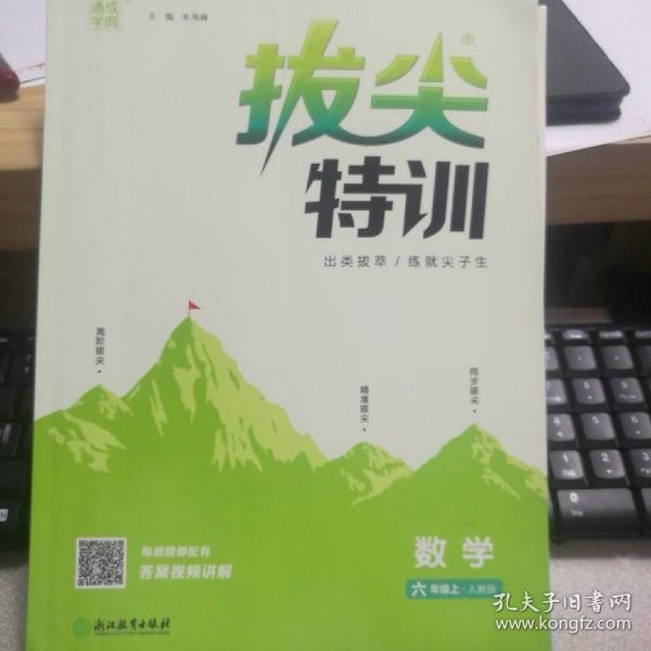 通城学典·拔尖特训：数学（六年级上人教版附尖子生学案）