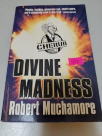 Divine Madness