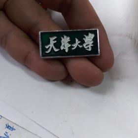 天津大学校徽（绿色，铝制）