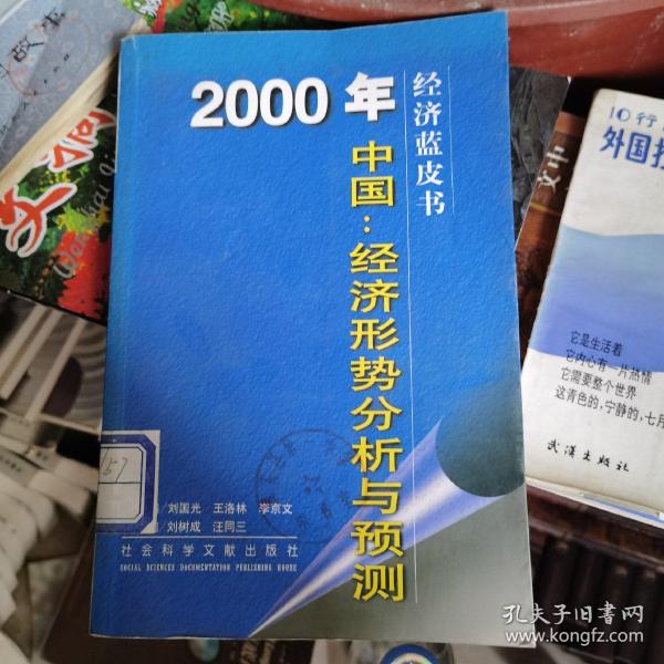 2000年中国：经济形势分析与预测