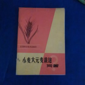 小麦大元麦栽培问答