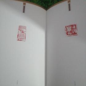 中国篆刻艺术院顾问研究员作品集 硬精装.