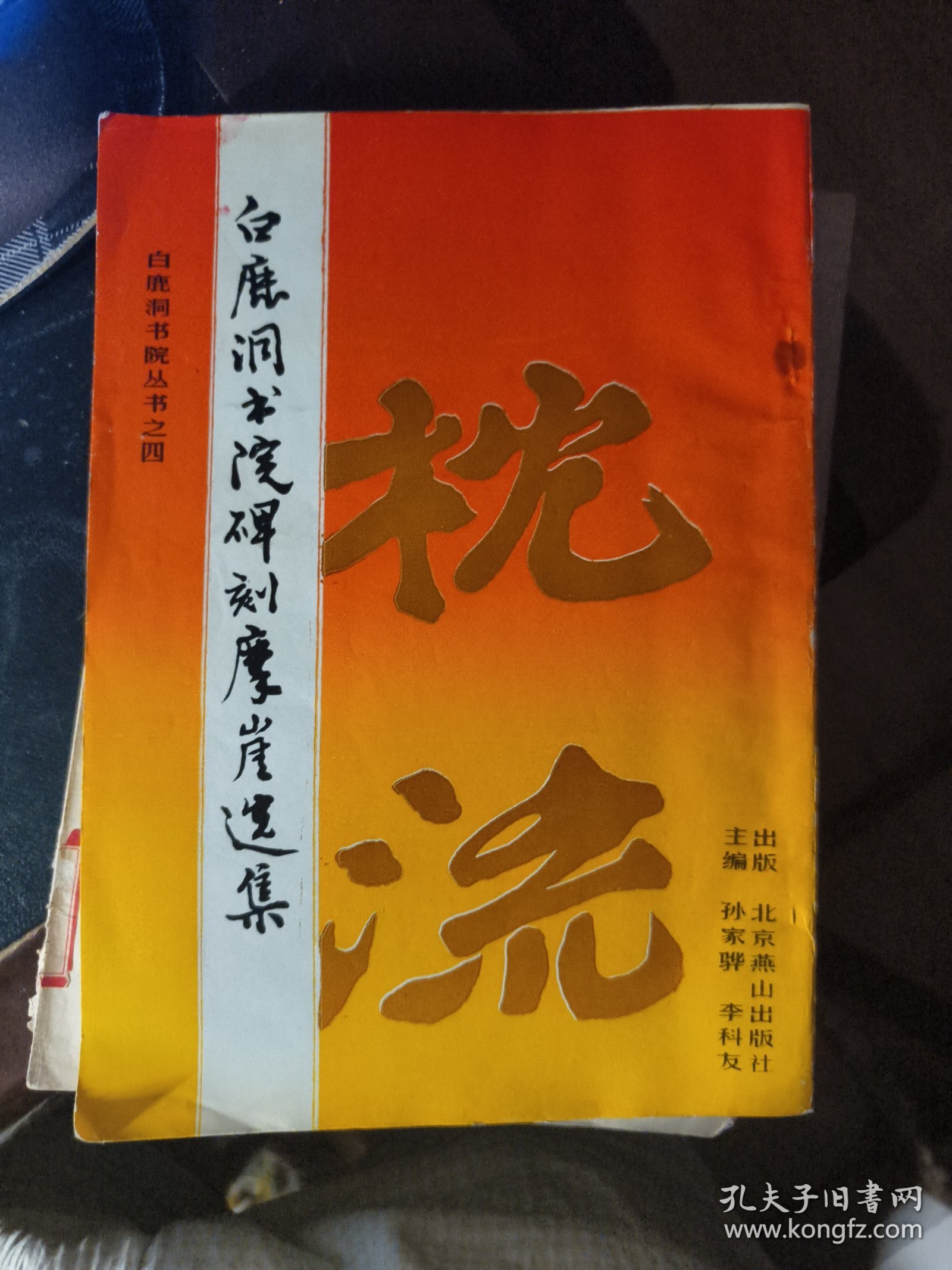 白鹿洞书院碑刻摩崖选集