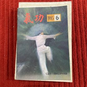 气功1985年第6期