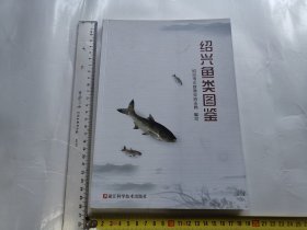 绍兴鱼类图谱